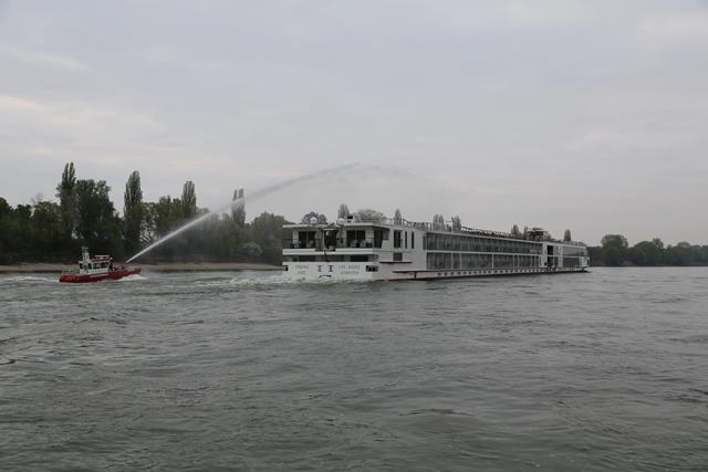 IMG 7651