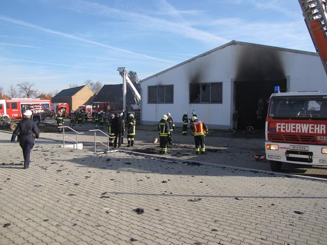 IMG 0442