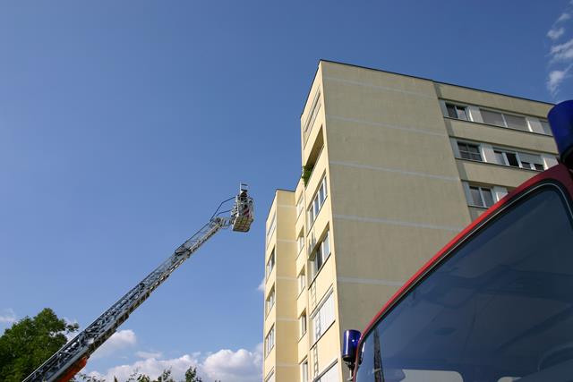 IMG 8881