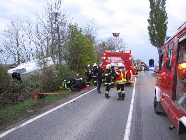 IMG 0783